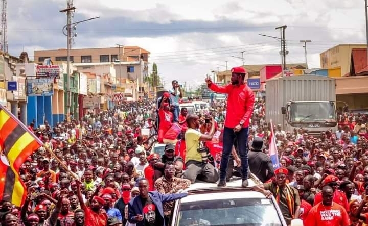 BOBI WINE STORM LIRA CITY