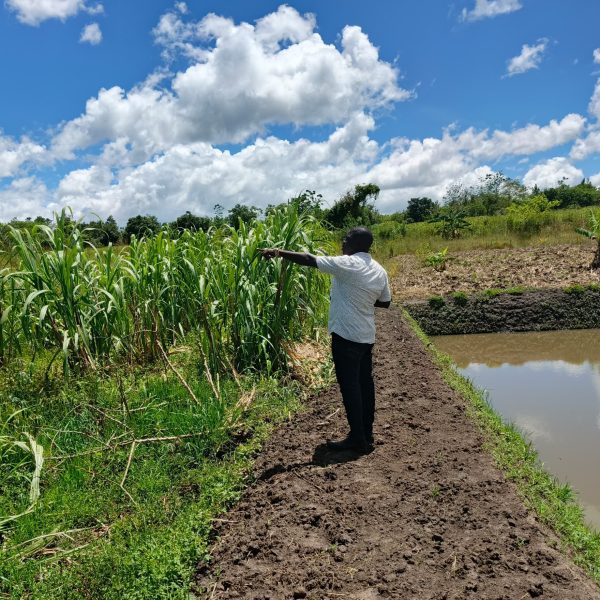 Alebtong Assistant RDC Warns Against Wetland Abuse and Extortion in Schools