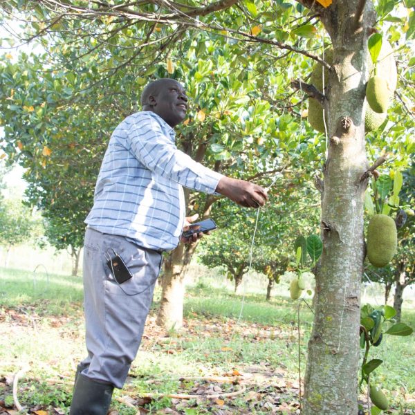 From Accountant to Agriculturist: Tom Otim’s Vision for Sustainable Farming in Northern Uganda