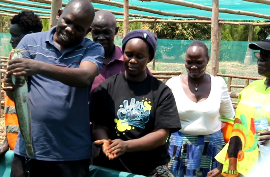 Lango Sub-Region Poised for Economic Growth as Dewilos Fish Farm Expands Operations