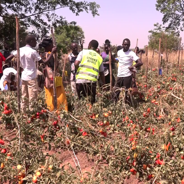 Farmers Call for Enhanced Agricultural Support to Combat Climate Change