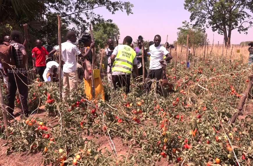 Farmers Call for Enhanced Agricultural Support to Combat Climate Change